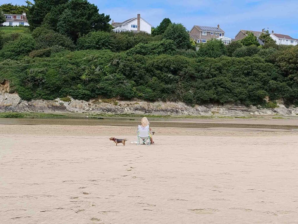Enjoy a views at The Gannel Estuary
