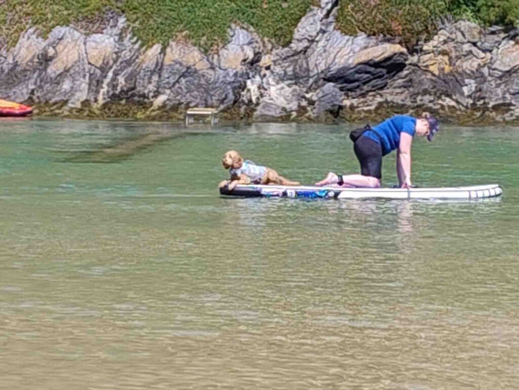 Paddleboarding with your dog on the Gannel Estuary