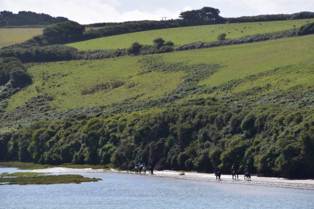 Choose Newquay and Cornwall for Horseback Riding