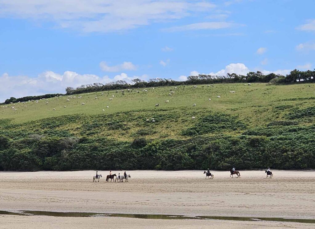 Newquay horseback riding adventure