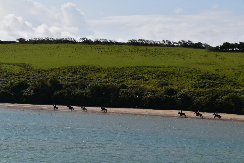 Ride Horse Along Stunning Coastal