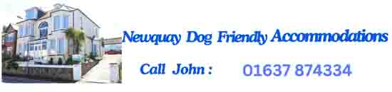 Newquay Accomodations Call John 01637874334