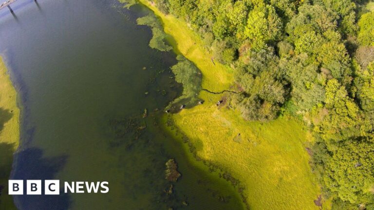 Algal Bloom Prediction Project Awarded Funding