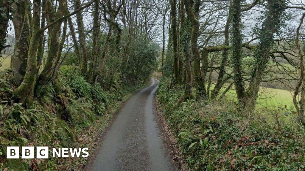 Hospitalized Driver After Hedge Collision: Local Impact