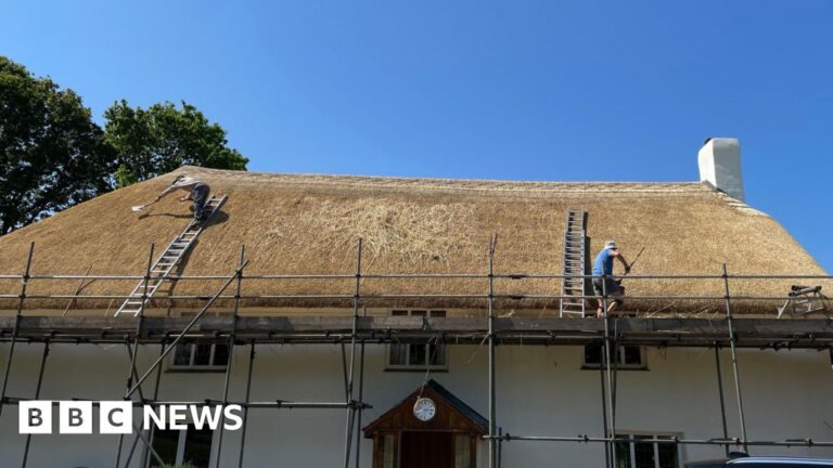 Roof Thatching Crisis: Two-Year Repair Backlog