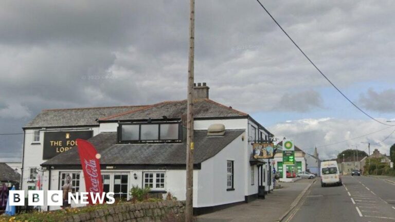 Cornwall Pub Brawl Leaves Several Injured: Police Seek Witnesses