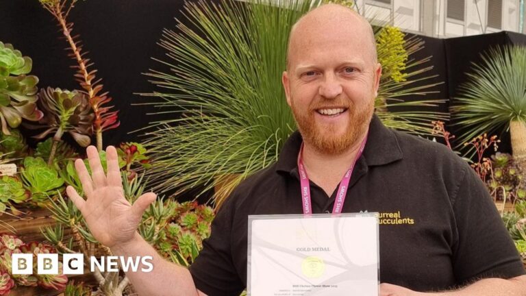 Chelsea Flower Show: Surreal Succulents' Fifth Gold!