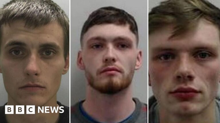 Hit-and-Run in Cornwall: Police Seek Three Suspects