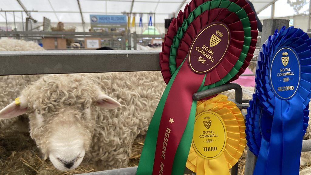 Royal Cornwall Show 2025: New CEO's Vision