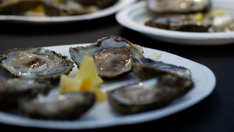 Falmouth Oyster Fest Returns: A Community Celebration