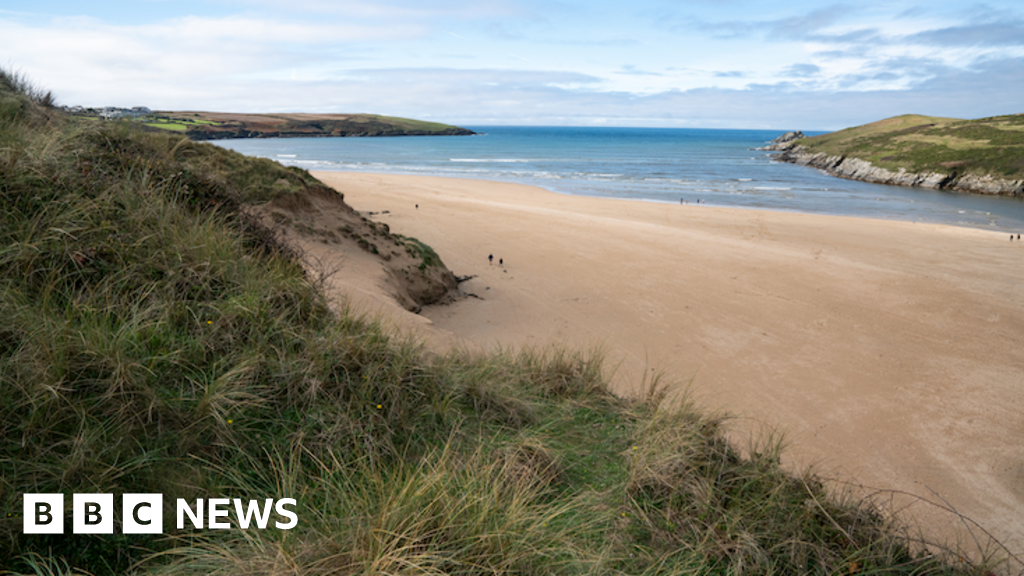 Volunteers Restore Crantock Beach Dunes with Marram Grass