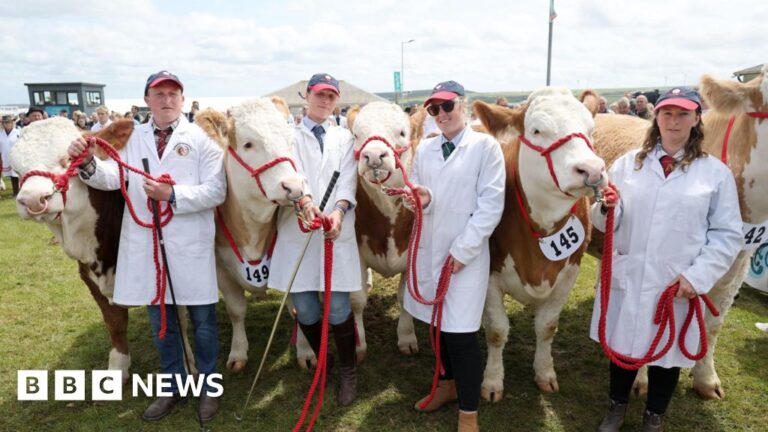Royal Cornwall Show Thrives Despite Mixed Weather