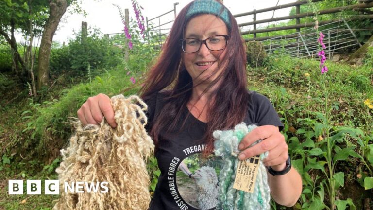 Cornish Mill Partners with Rare Breed Farmers for High-Quality Wool
