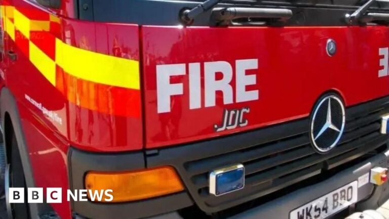 Dramatic Dog Rescue: Firefighters Save Pup from Riverbank